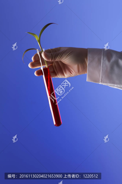 在綠色植物生物學(xué)實驗室