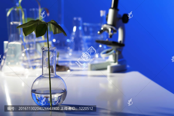 在綠色植物生物學(xué)實(shí)驗(yàn)室