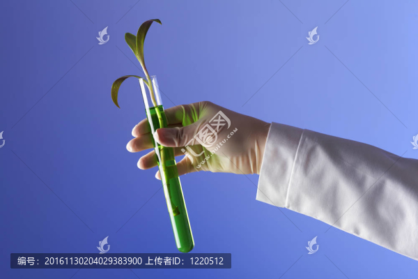 在綠色植物生物學(xué)實(shí)驗(yàn)室