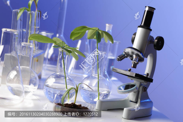 在綠色植物生物學(xué)實驗室
