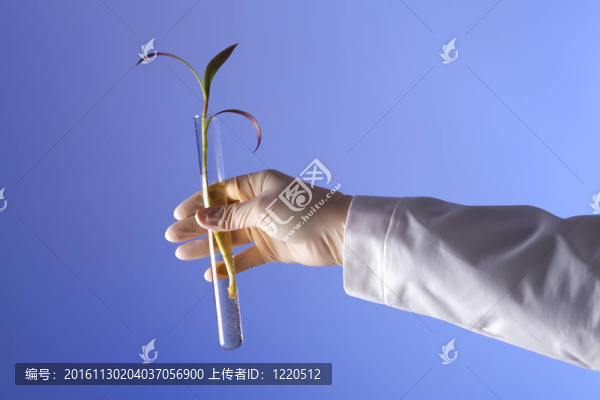在綠色植物生物學實驗室
