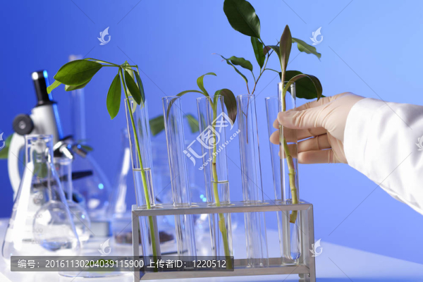 在綠色植物生物學(xué)實(shí)驗(yàn)室