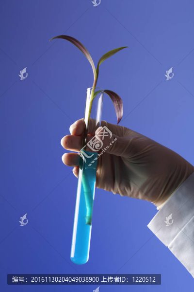 在綠色植物生物學(xué)實(shí)驗(yàn)室