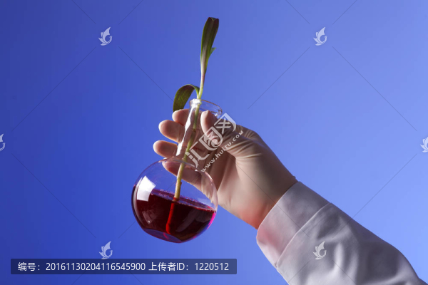 在綠色植物生物學(xué)實驗室