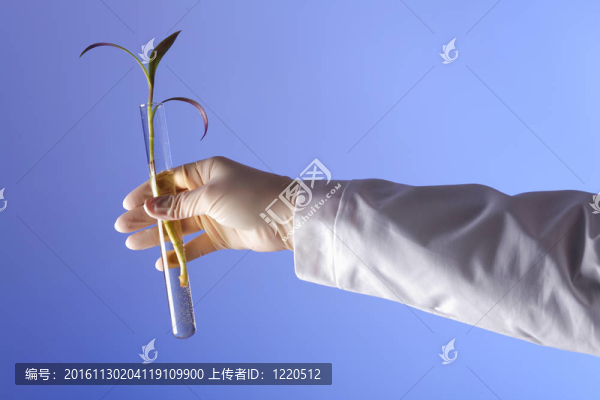 在綠色植物生物學(xué)實驗室