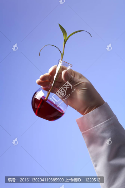 在綠色植物生物學實驗室