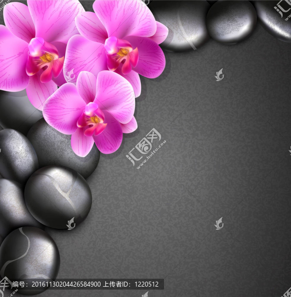 用石頭和蘭花的背景