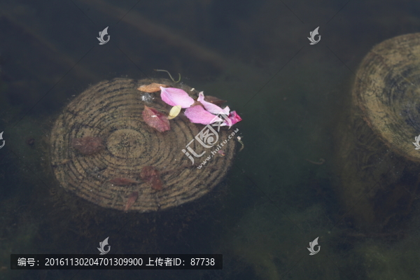 戴河生態(tài)園