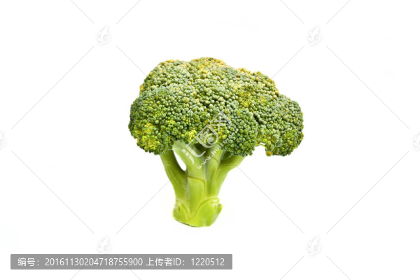 西蘭花