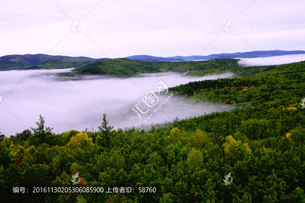 山林云海
