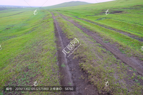 金界壕遺址