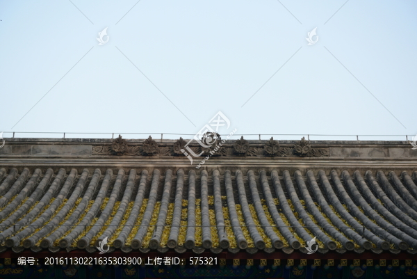 屋脊,灰瓦,落葉