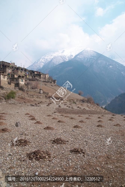 西藏山景觀