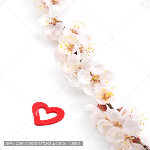櫻花之心。