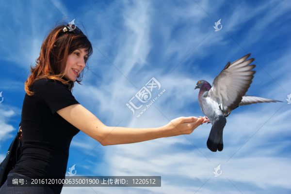 女孩喂鴿子