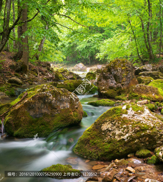 峽谷里的春天河