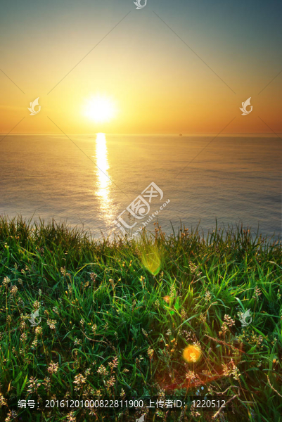 春天的草和海景