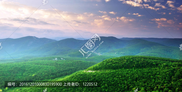 綠色的山山