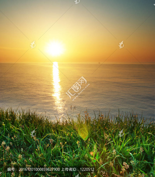 春天的草和海景