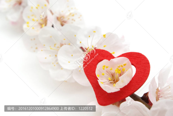 心與櫻花。