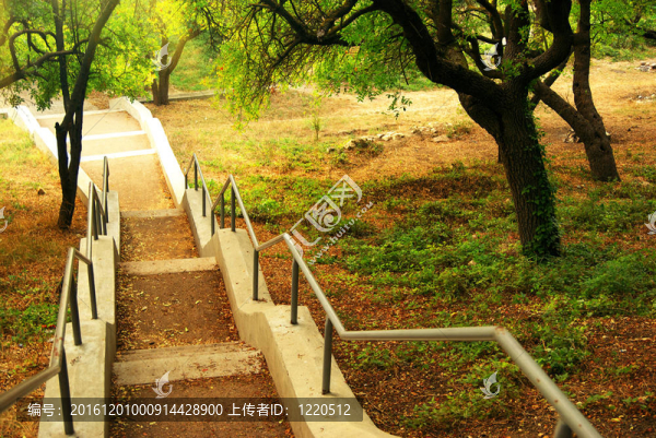 美麗的公園里的陽(yáng)光