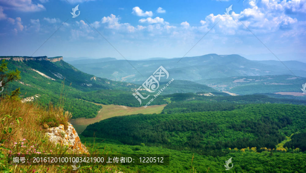 春天的山谷
