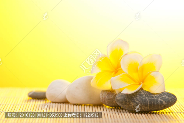 熱門預(yù)訂鮮花和鵝卵石竹背景