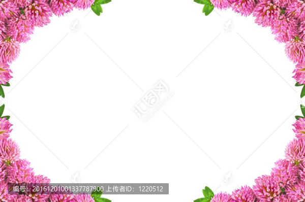 框架與三葉草