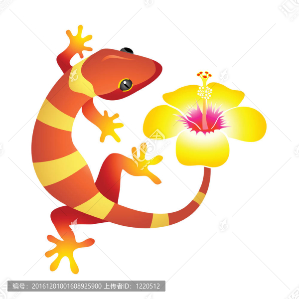 SPA的壁虎