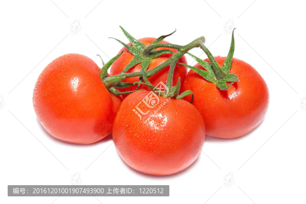 紅番茄群