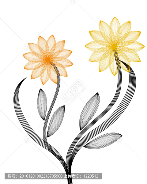 五顏六色的花朵