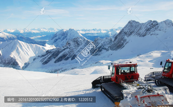 雪貓停在山頂