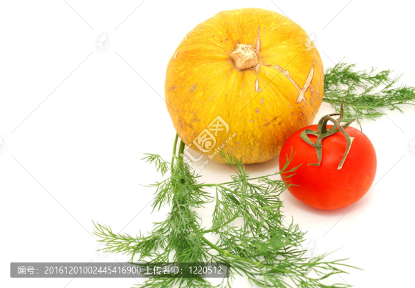 蔬菜1