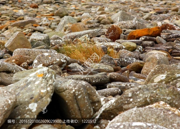 石頭