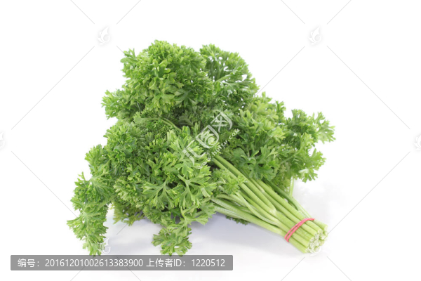 西芹