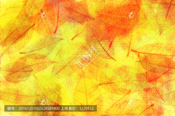 秋天的落葉背景