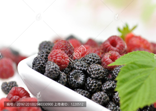 漿果