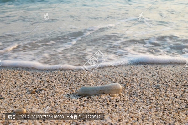 海的沙灘