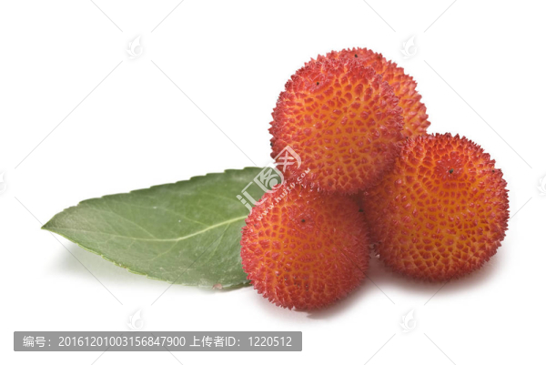 楊梅和一片葉子。