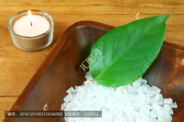 綠色的葉子