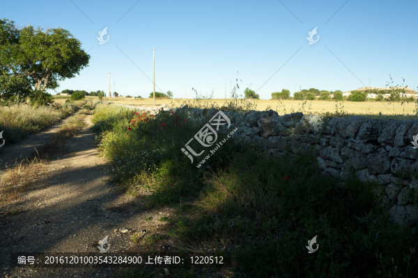 鄉(xiāng)間小路