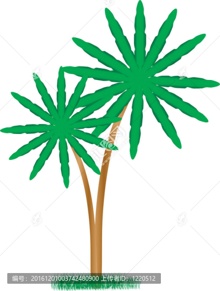 棕櫚樹