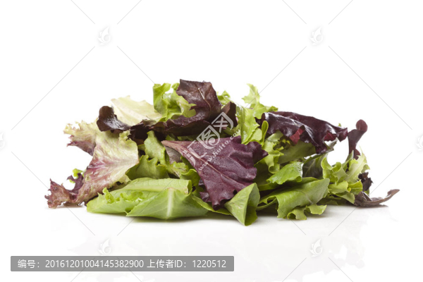 新鮮的綠色沙拉