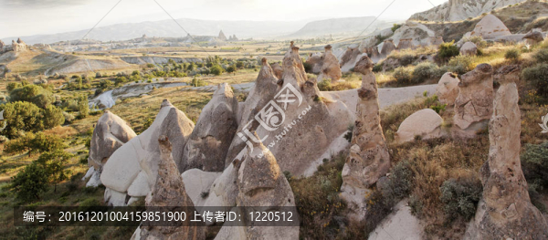 在土耳其石灰石煙囪多細(xì)亞