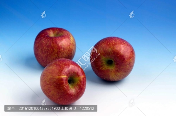 食品和菜肴
