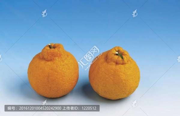 食品和菜肴