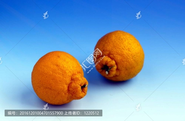食品和菜肴