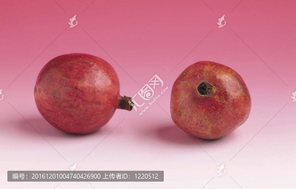 食品和菜肴