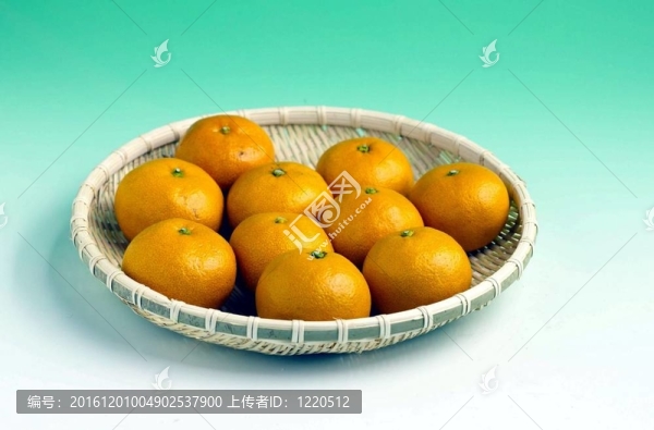 食品和菜肴