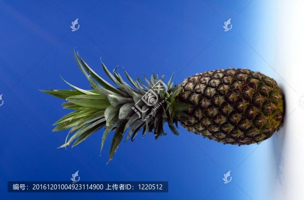 食品和菜肴